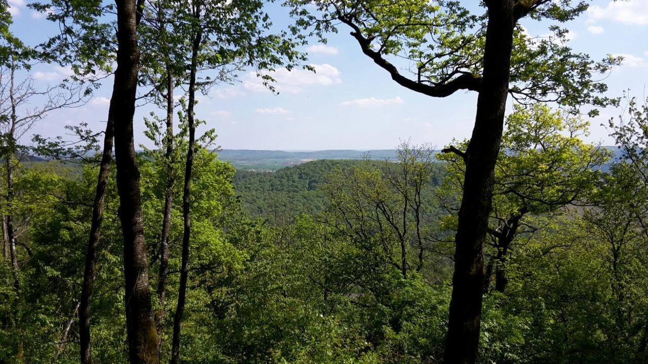 Hotel Am Schwanberg Rödelsee Zewnętrze zdjęcie